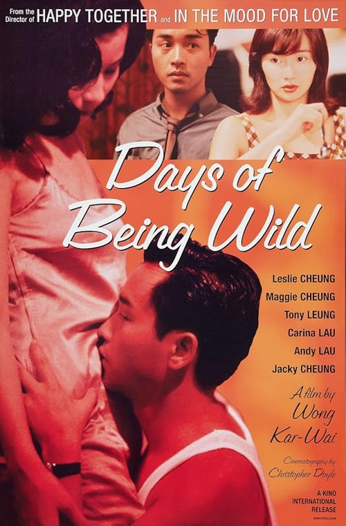 Days of Being Wild movie poster