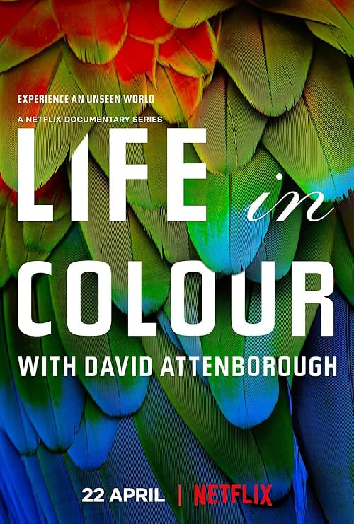 Life in Colour movie poster