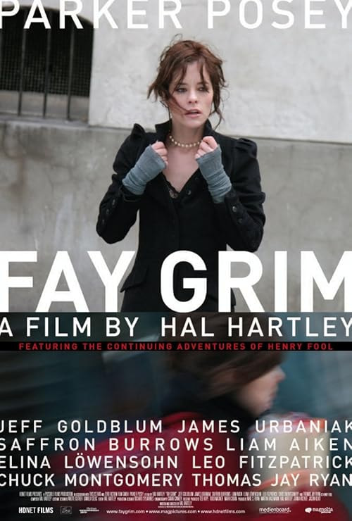 Fay Grim movie poster
