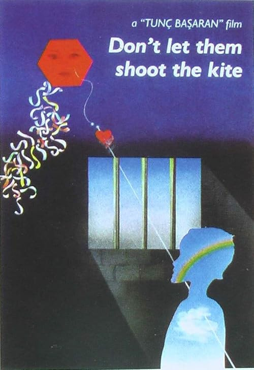 Don't Let Them Shoot the Kite movie poster