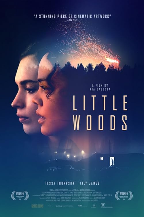 Little Woods movie poster