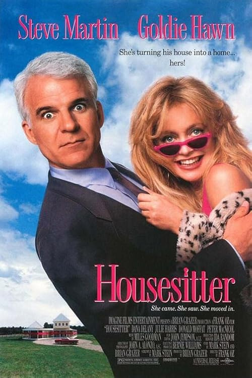 HouseSitter movie poster