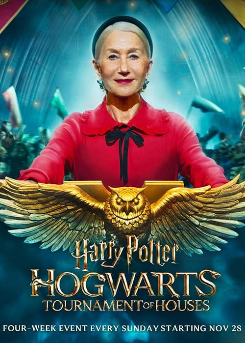 Harry Potter: Hogwarts Tournament of Houses movie poster