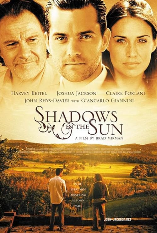 Shadows in the Sun movie poster