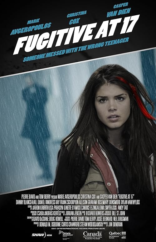 Fugitive at 17 movie poster