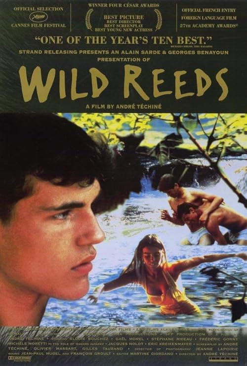 Wild Reeds movie poster