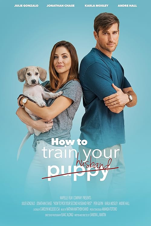 How to Train Your Husband or (How to Pick Your Second Husband First) movie poster
