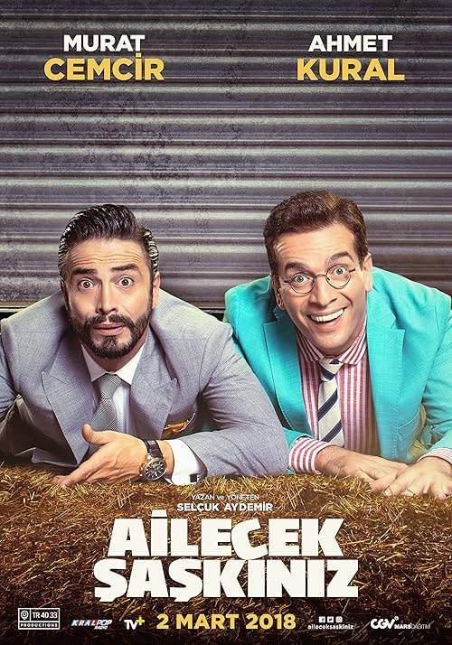 Ailecek Saskiniz movie poster