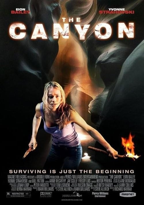 The Canyon movie poster