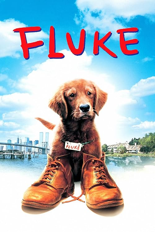 Fluke movie poster