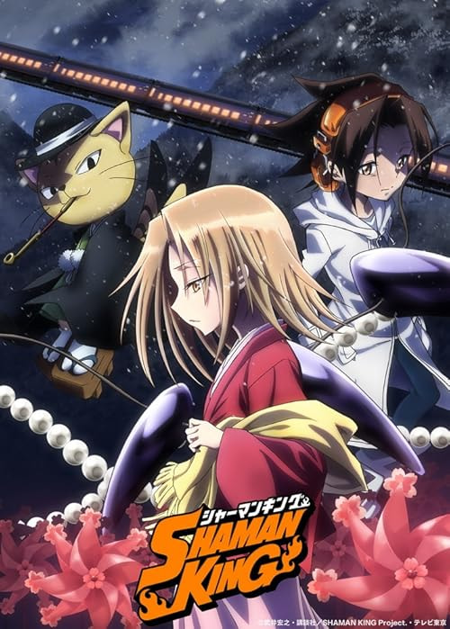 Shaman King movie poster