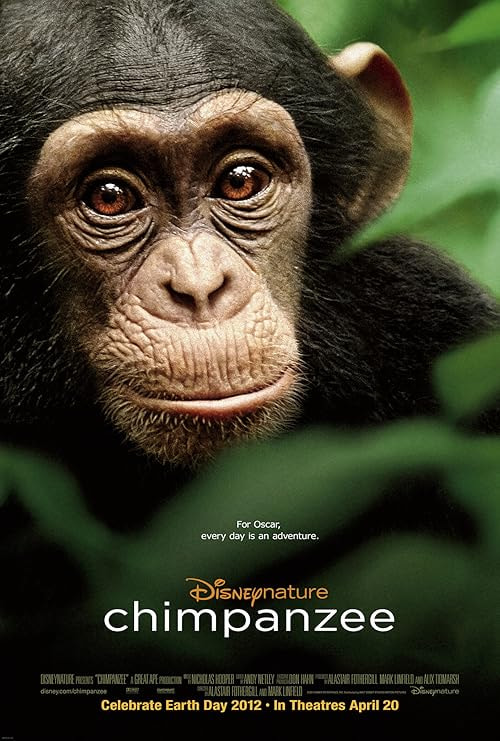 Chimpanzee movie poster
