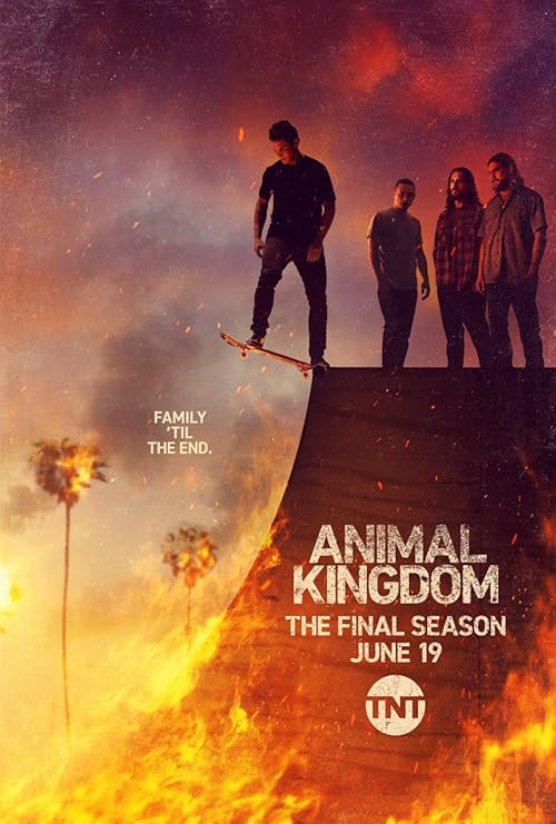 Animal Kingdom movie poster