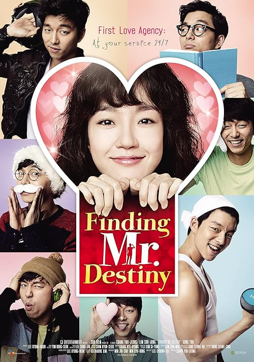 Finding Mr. Destiny movie poster