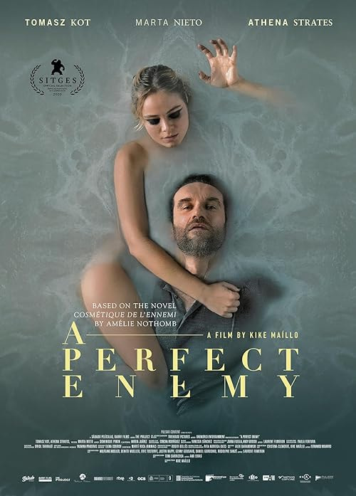 A Perfect Enemy movie poster
