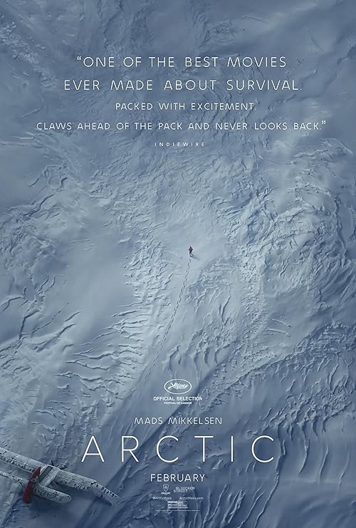 Arctic movie poster