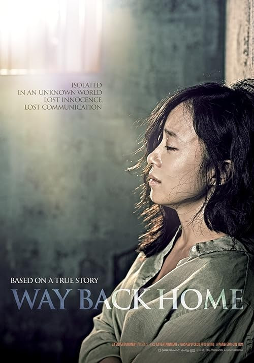 Way Back Home movie poster